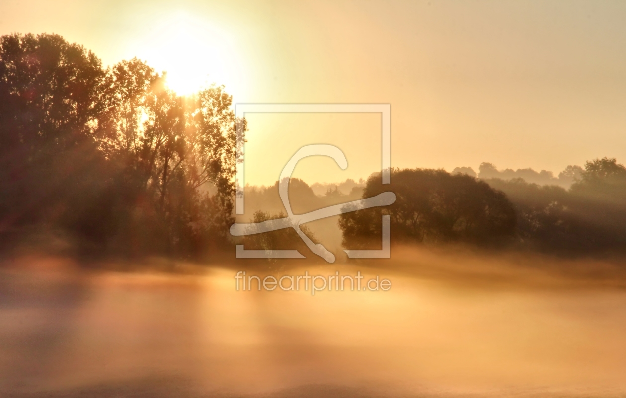 Bild-Nr.: 10782109 Morgennebel erstellt von falconer59