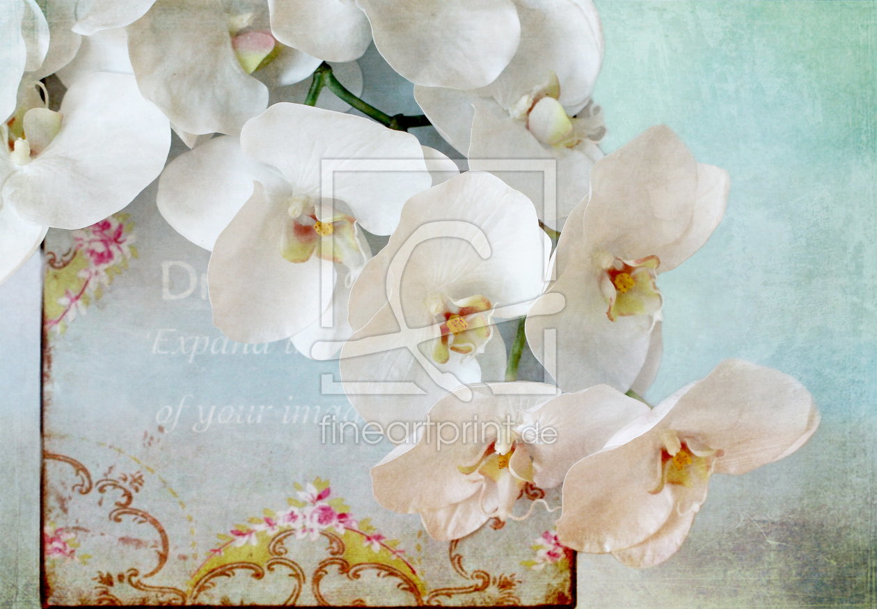 Bild-Nr.: 10782719 Orchideenstillleben erstellt von Heike Hultsch