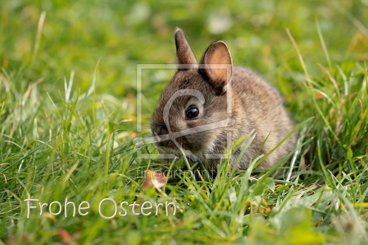 Bild-Nr.: 10783675 Frohe Ostern erstellt von Heike  Hultsch