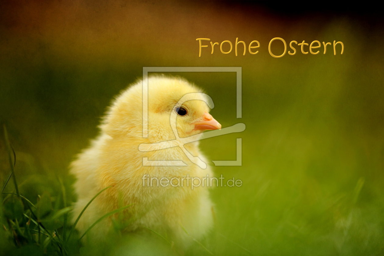 Bild-Nr.: 10783677 Frohe Ostern erstellt von Heike Hultsch