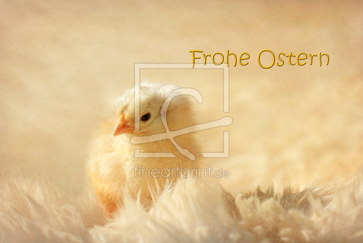 Bild-Nr.: 10783679 Frohe Ostern erstellt von Heike Hultsch