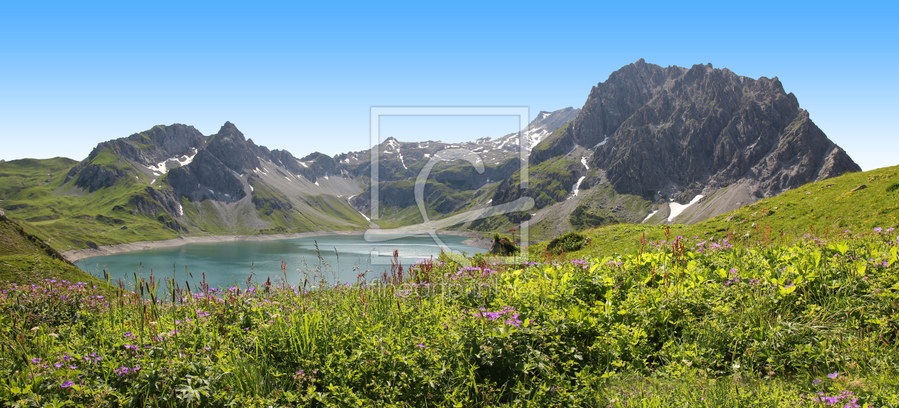 Bild-Nr.: 10785111 Lünersee mit Blumenwiese erstellt von SusaZoom