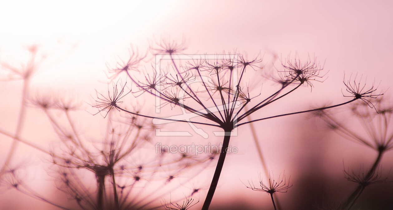 Bild-Nr.: 10787421 Pflanze erstellt von willichilli97