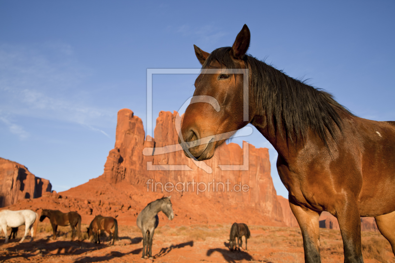 Bild-Nr.: 10792235 Pferde im Monument Valley erstellt von connys-traumreisen