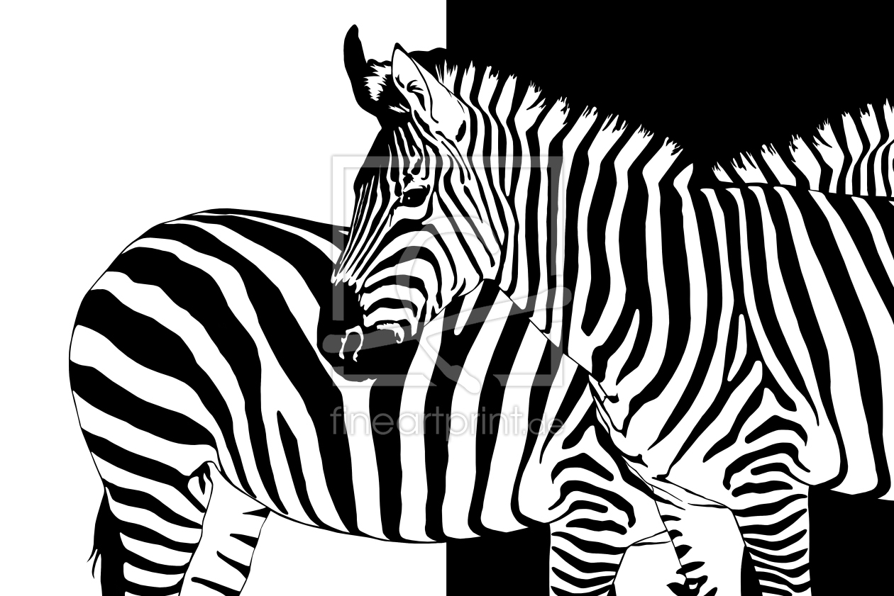 Bild-Nr.: 10794741 Zebra schwarz-weiß erstellt von Mausopardia