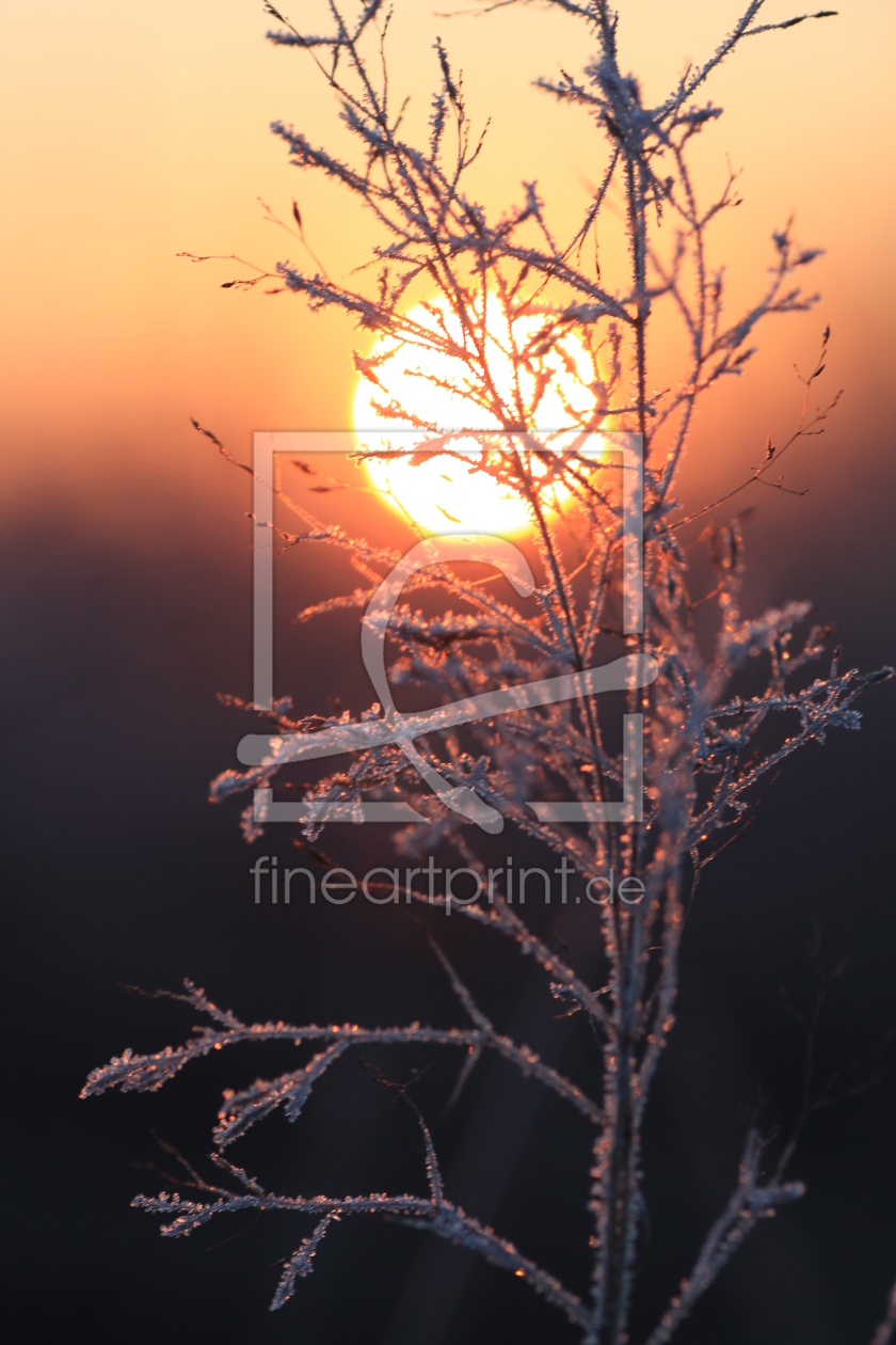Bild-Nr.: 10801837 Sonnenaufgang Winter erstellt von Sandle