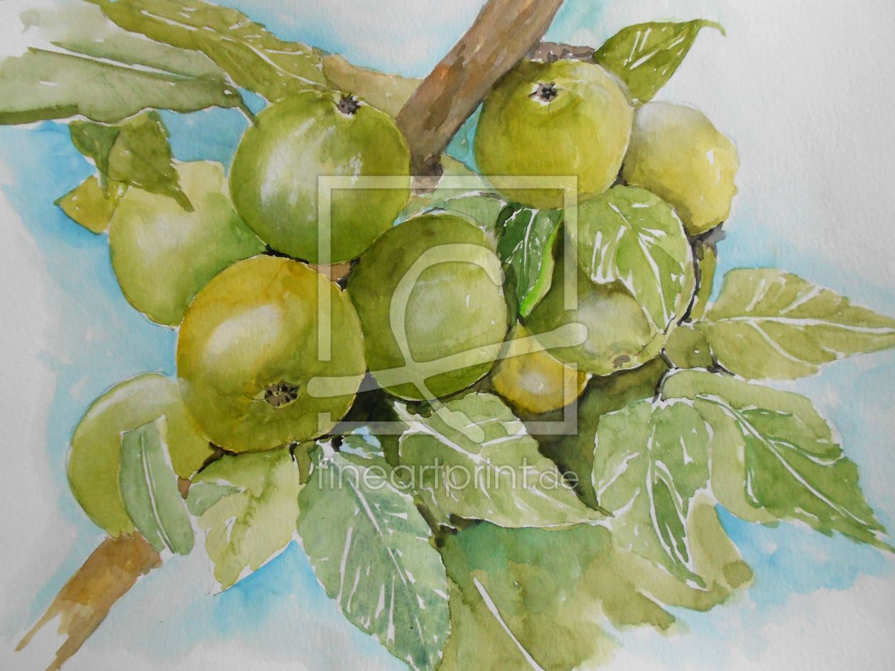 Bild-Nr.: 10804789 Grüne Äpfel erstellt von Maria  Földy