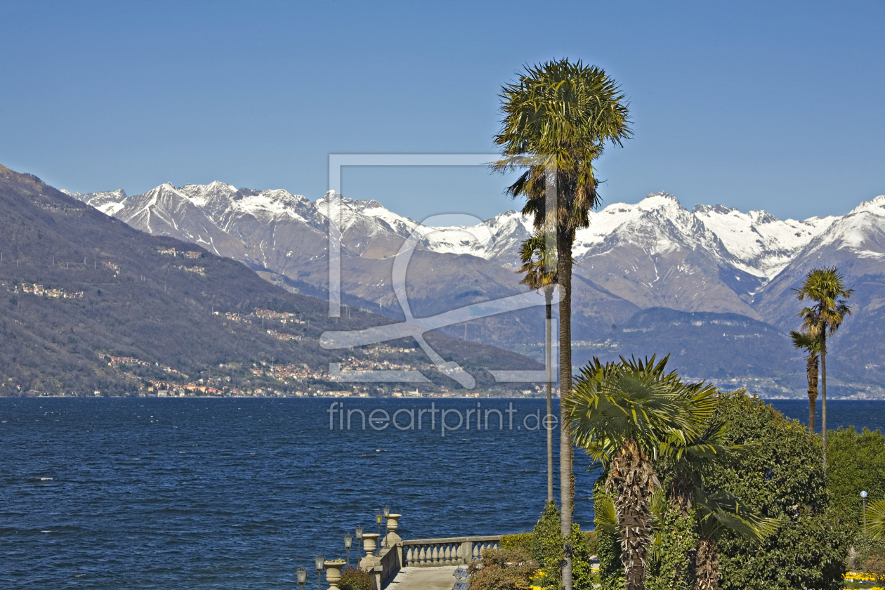 Bild-Nr.: 10805695 Palmenpracht am Comer See erstellt von EderHans