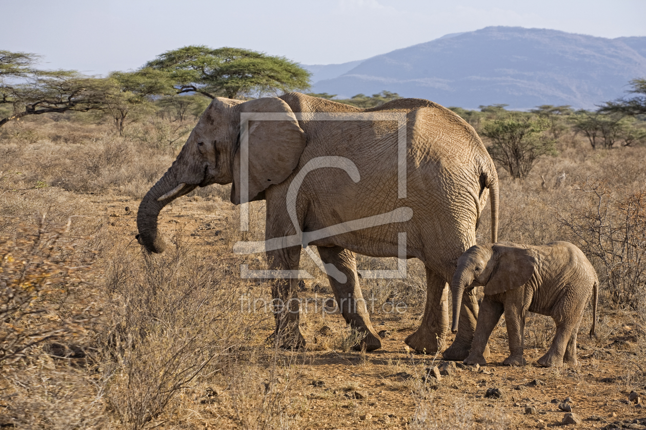 Bild-Nr.: 10809847 Mama na Mtoto erstellt von Thomas Herzog