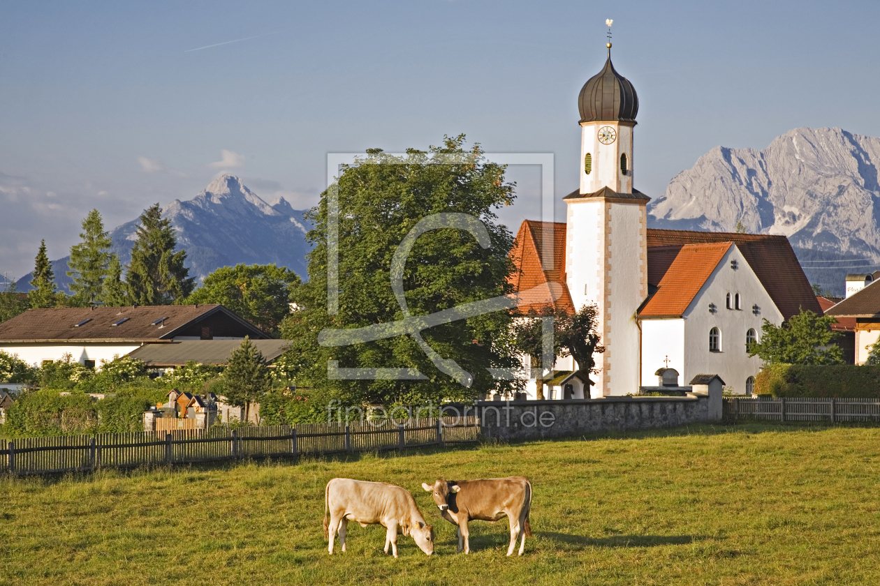 Bild-Nr.: 10810203 Dorfidylle mit Kühen erstellt von EderHans