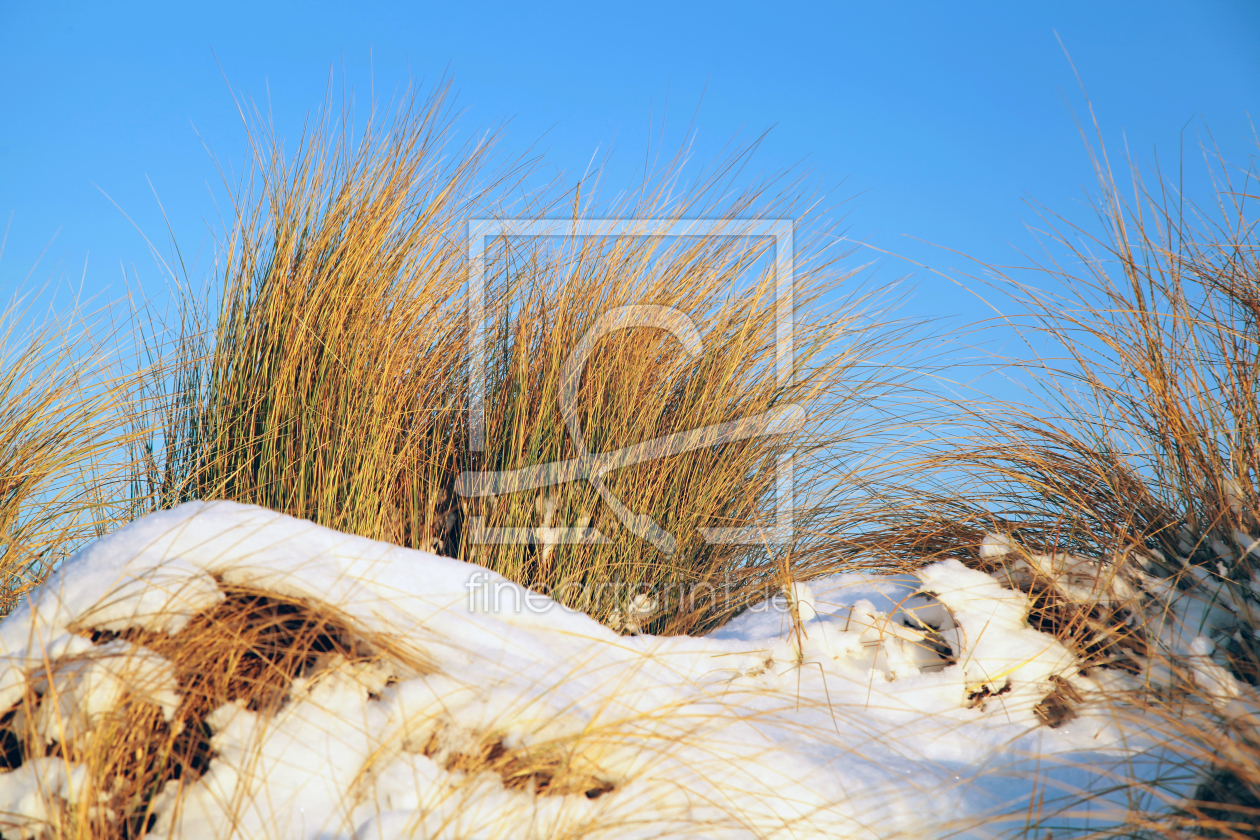 Bild-Nr.: 10815335 Winterdüne erstellt von FotoDeHRO