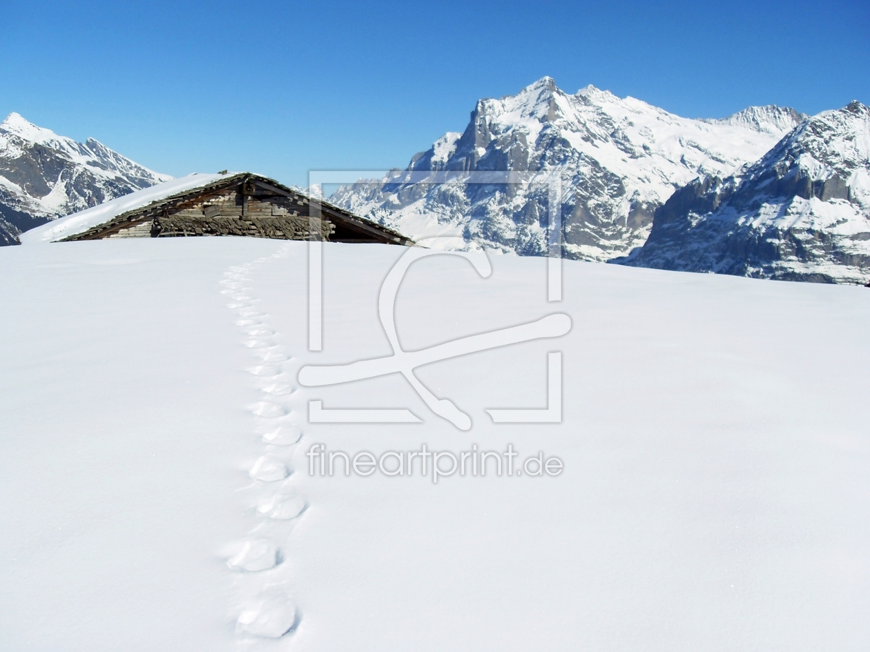 Bild-Nr.: 10821695 Yetis shed erstellt von Bettina Schnittert