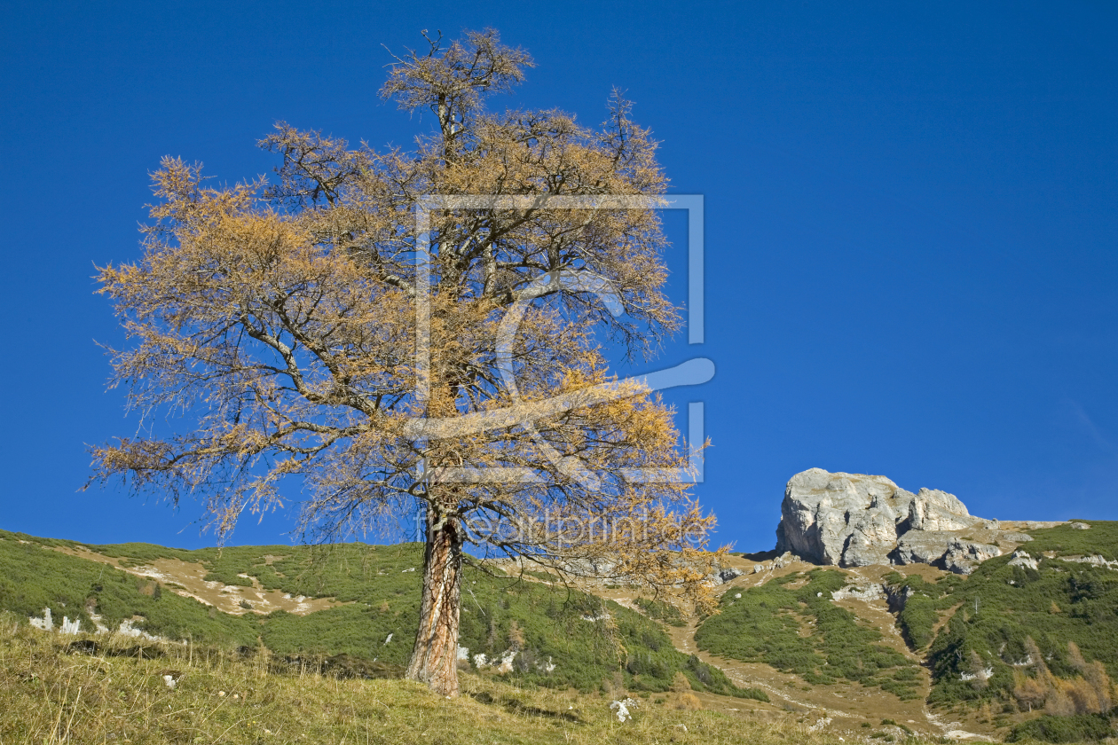 Bild-Nr.: 10821917 Herbst im Rofangebirge erstellt von EderHans