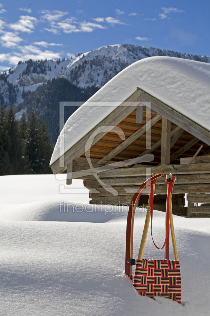 Bild-Nr.: 10821925 Mit dem Rodel auf die Alm erstellt von EderHans