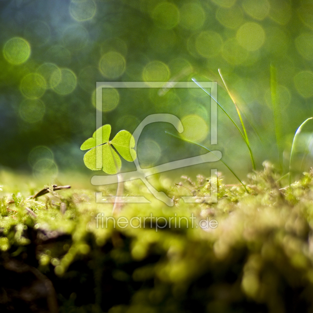 Bild-Nr.: 10823821 A Little Hope erstellt von r3novatio