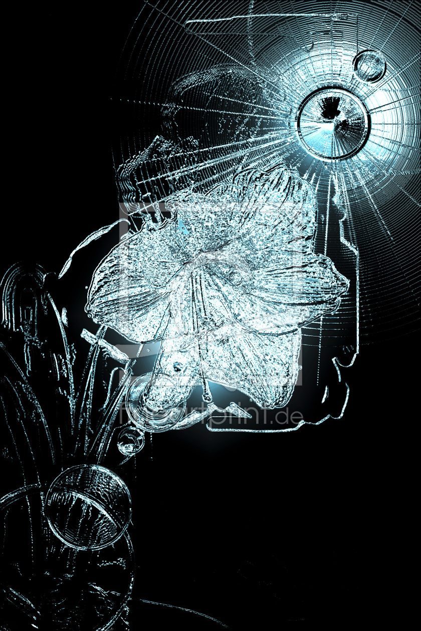 Bild-Nr.: 10824249 Winterblüher erstellt von TanteSnu