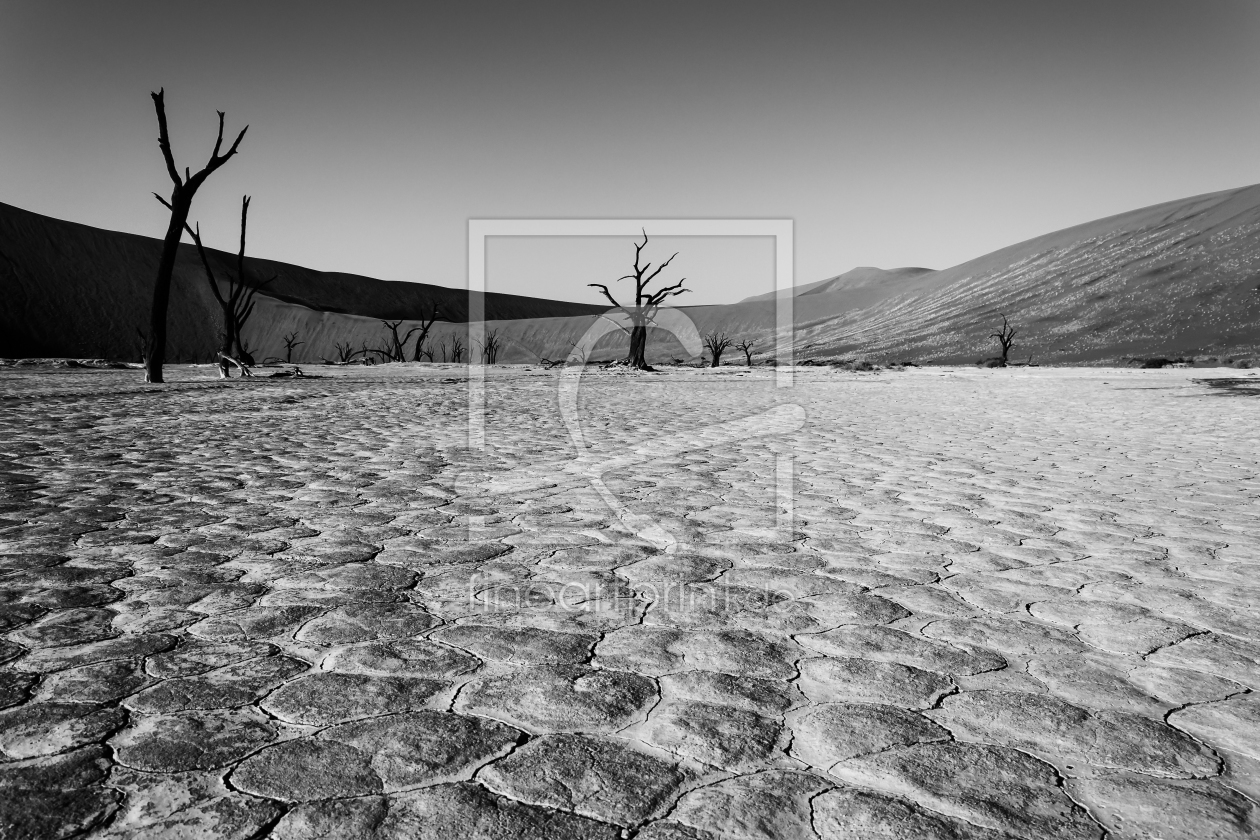 Bild-Nr.: 10824735 Namibia B&W erstellt von DenisFeiner