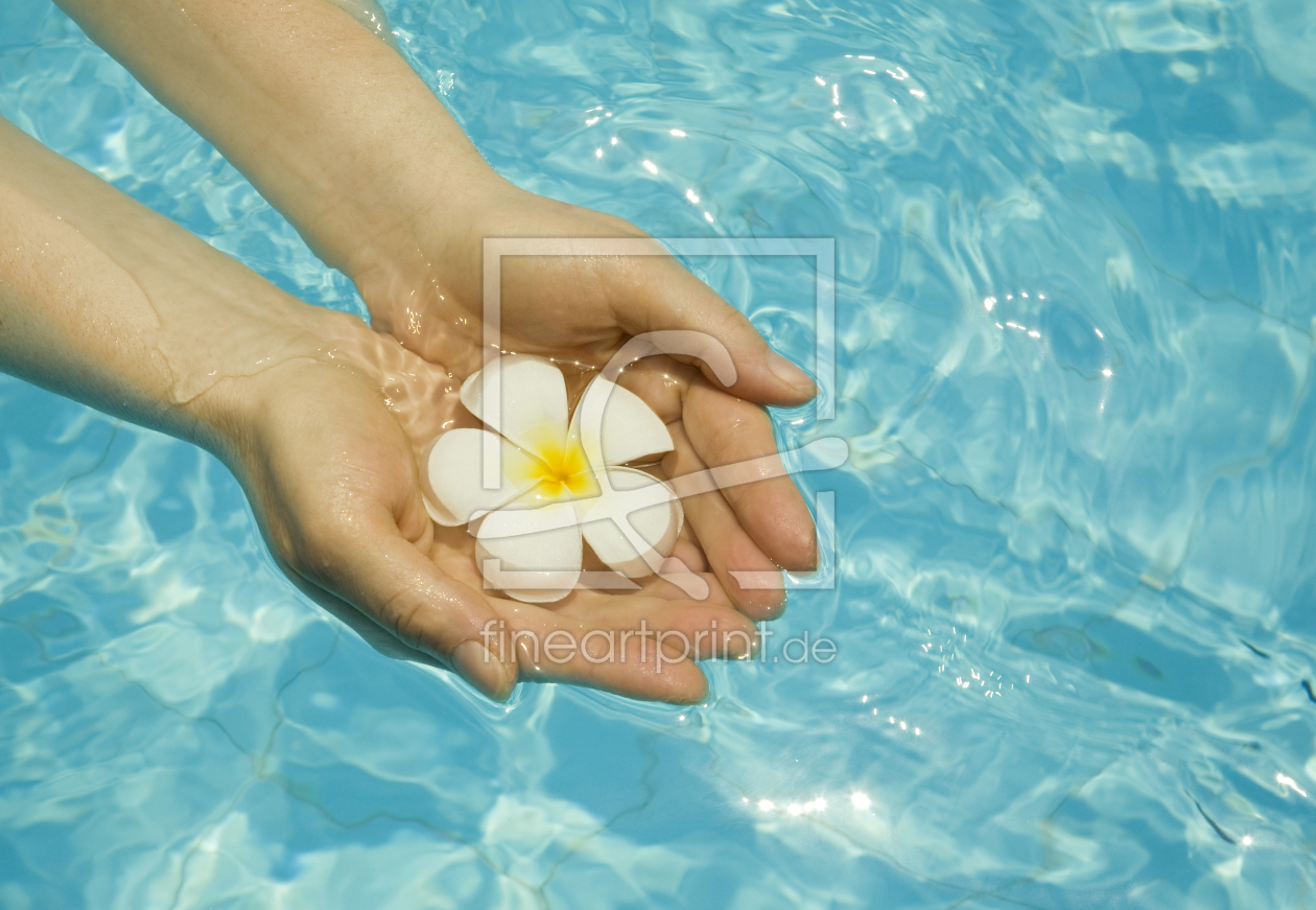 Bild-Nr.: 10824853 Frangipani erstellt von diephosi