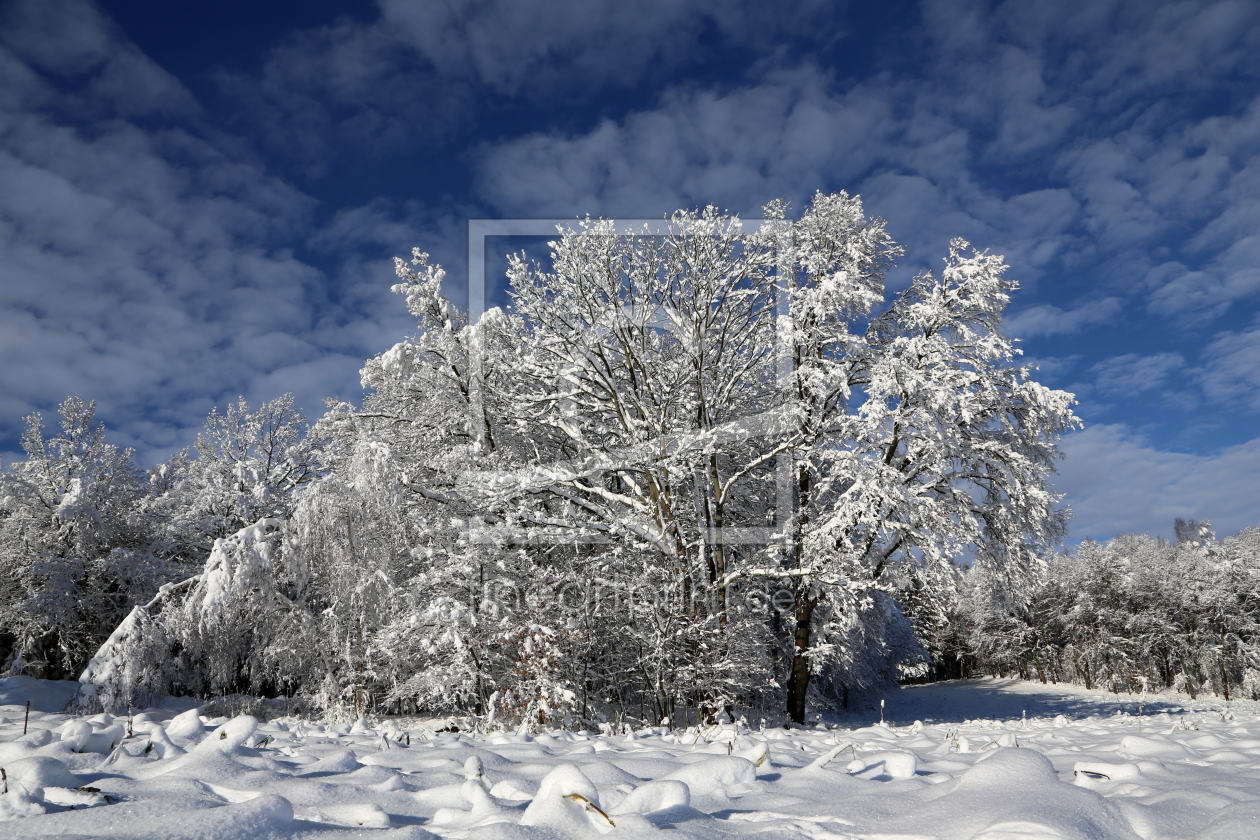 Bild-Nr.: 10825707 Winterlandschaft erstellt von Marcel Schauer