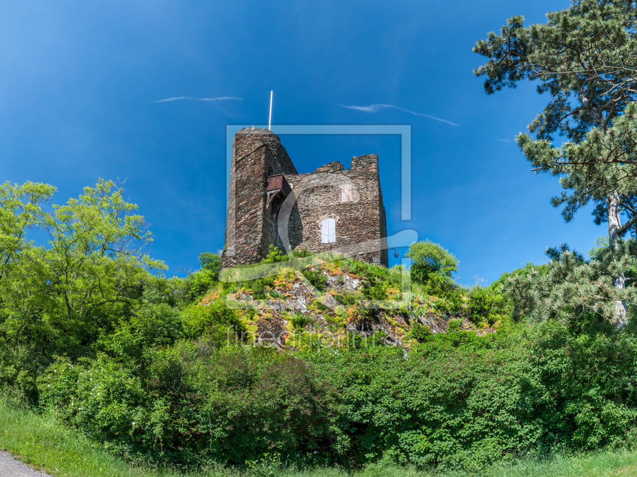 Bild-Nr.: 10828647 Burg Nollig bei Lorch erstellt von Erhard Hess