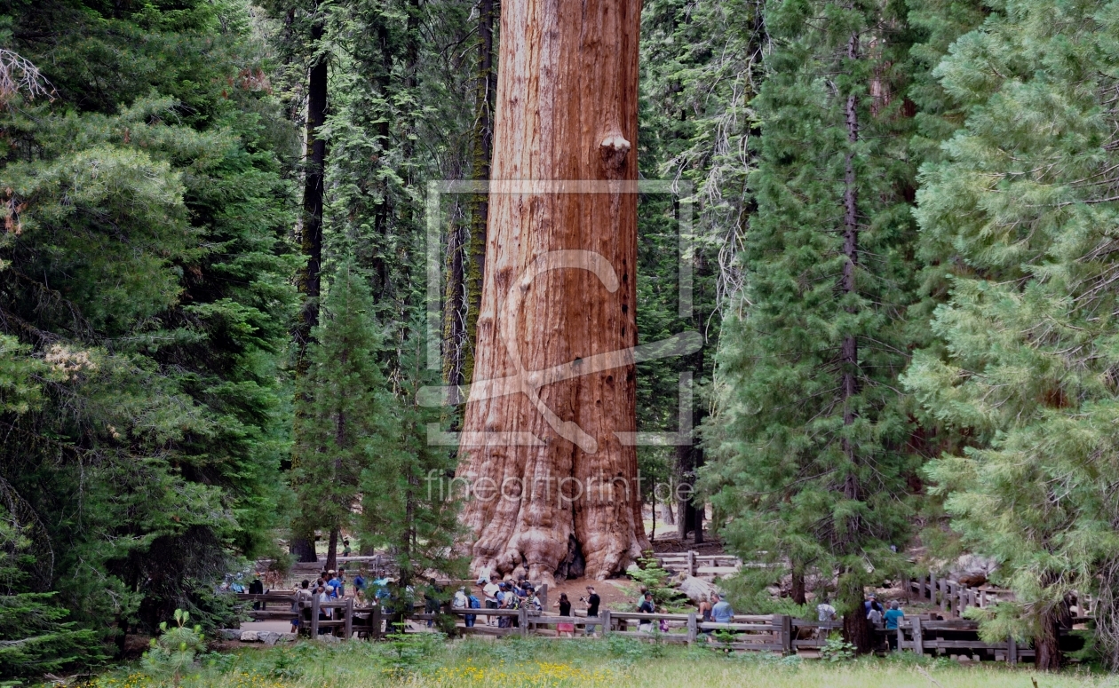 Bild-Nr.: 10834675 General Sherman erstellt von Icebeer