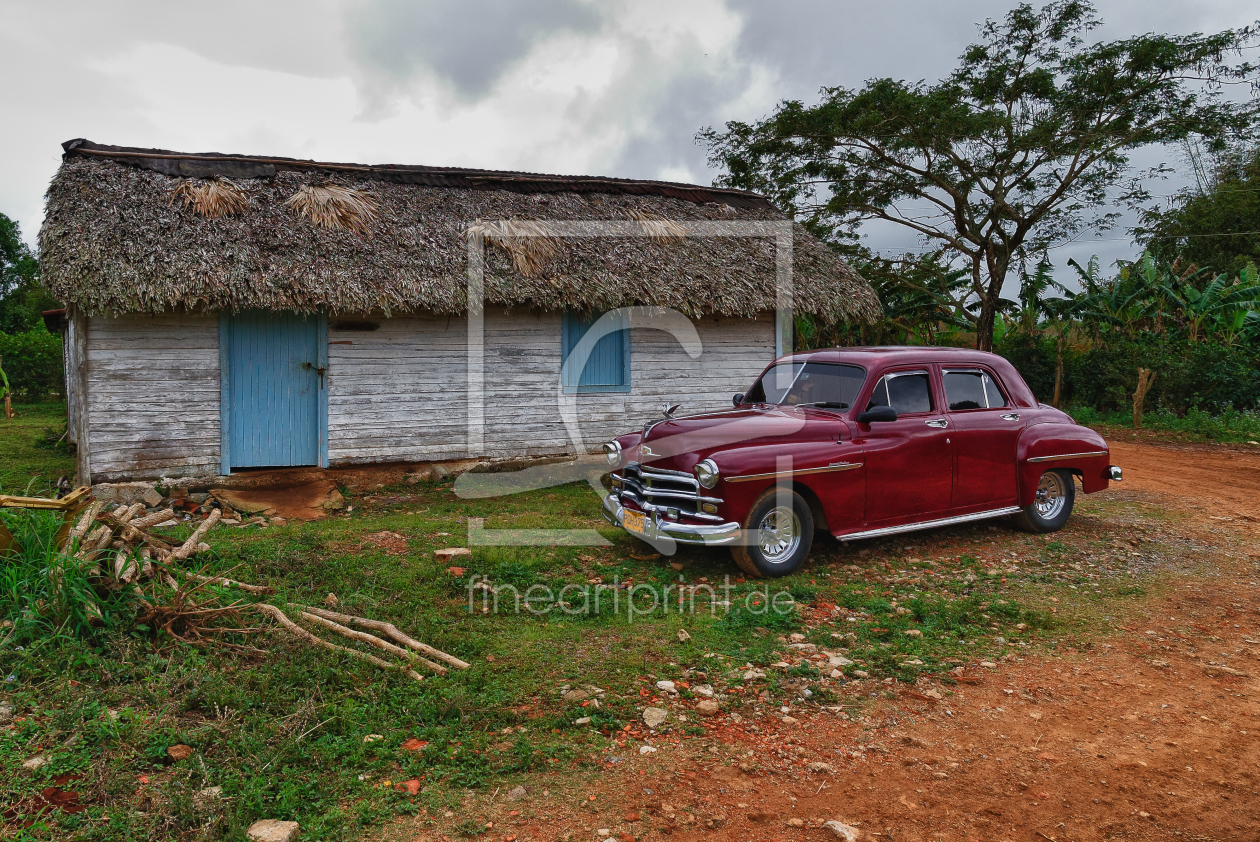 Bild-Nr.: 10835593 Cuba Cars  erstellt von Gerlinde Klust