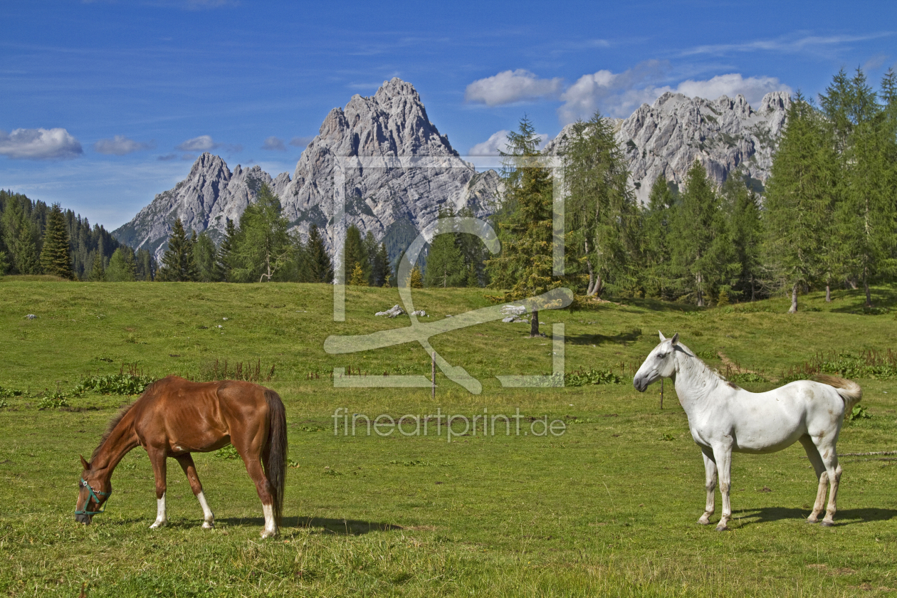 Bild-Nr.: 10839235 Pferdesommer in den Dolomiten erstellt von EderHans