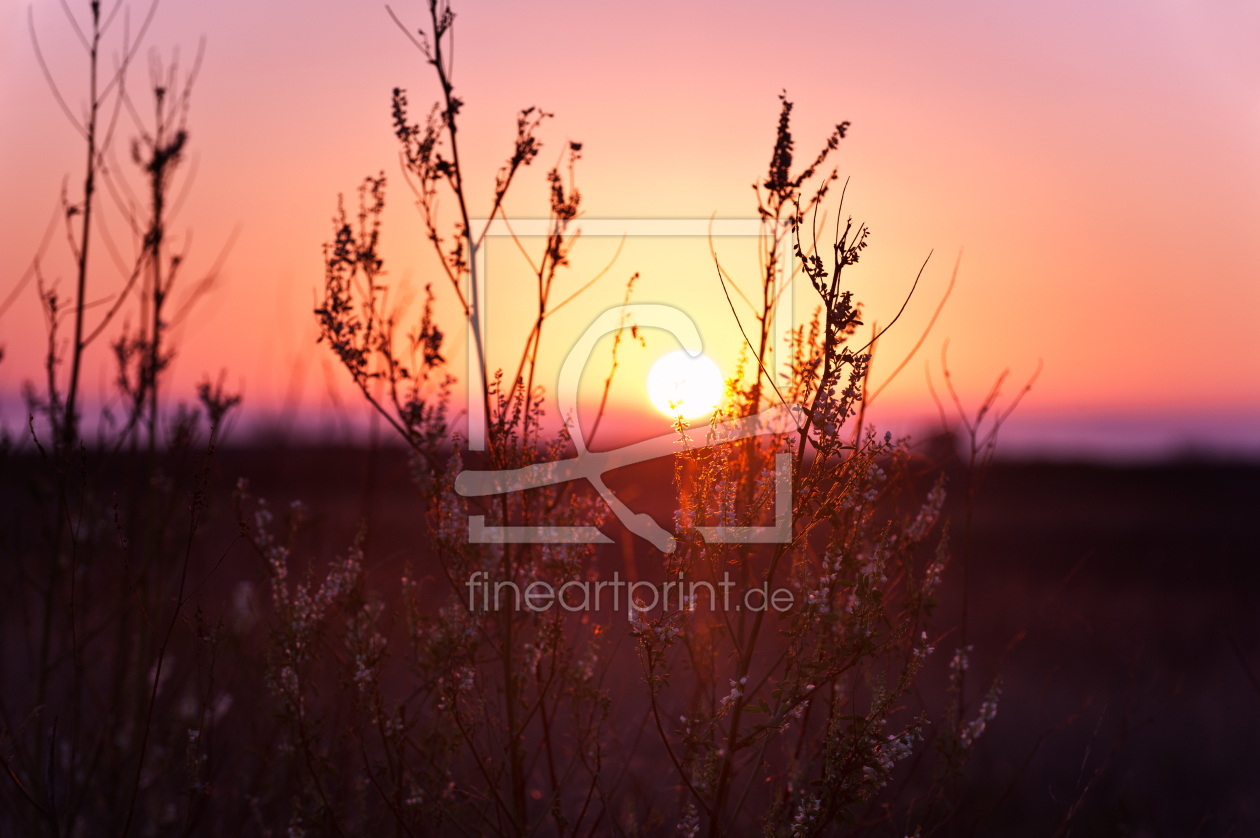 Bild-Nr.: 10840815 Intense Sunset erstellt von 3523Studio