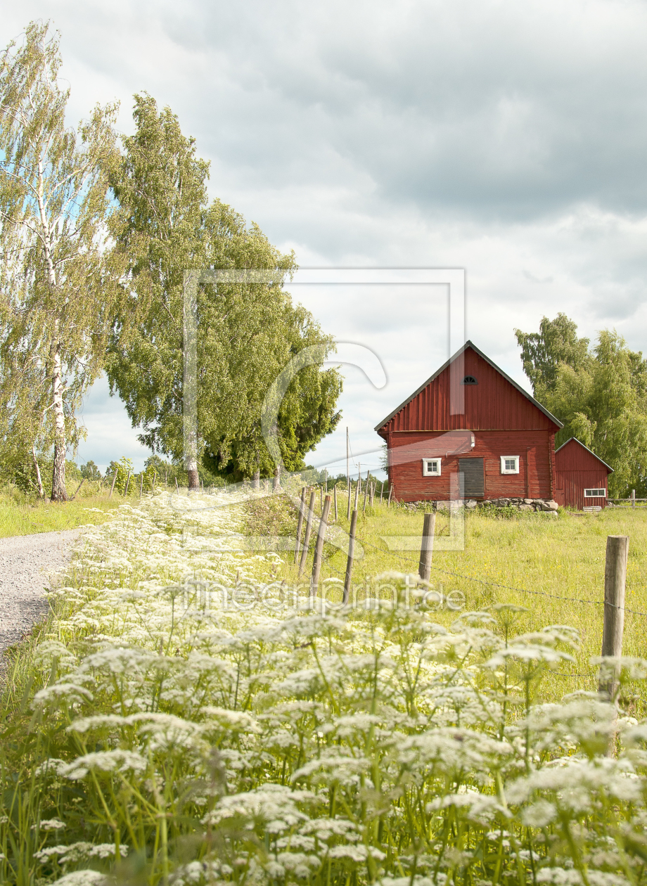 Bild-Nr.: 10840893 Schwedischer Sommer erstellt von Leopold-Brix