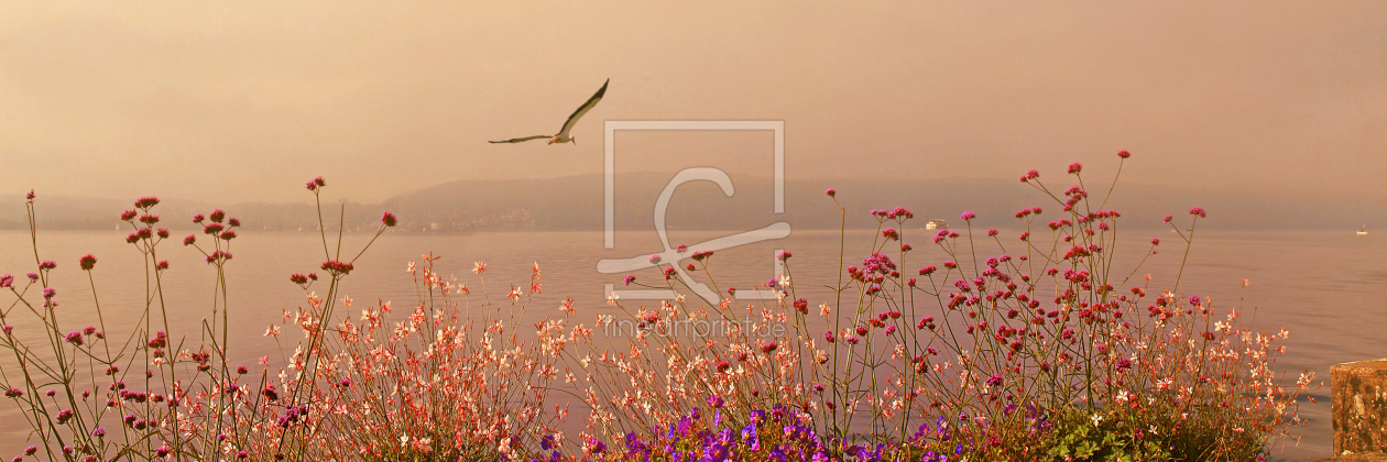 Bild-Nr.: 10841273 Blumen am Bodensee mit Textur  erstellt von Mausopardia