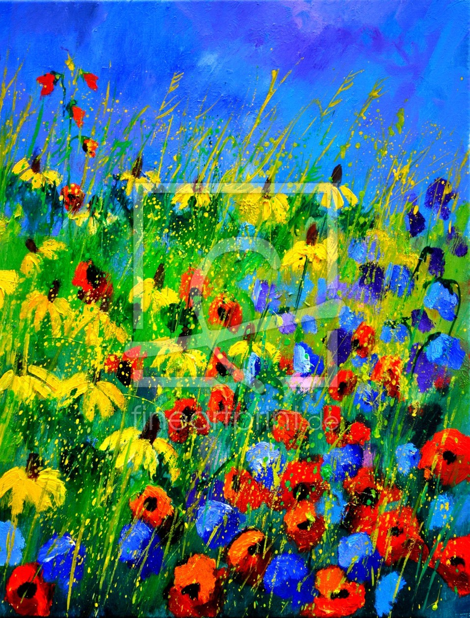 Bild-Nr.: 10843483 Poppies 4563 erstellt von Pol Ledent