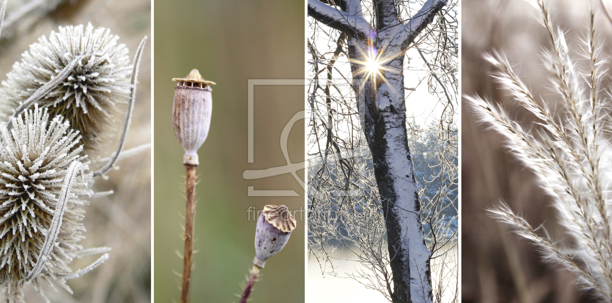 Bild-Nr.: 10843733 Winterimpressionen 2 erstellt von SusaZoom
