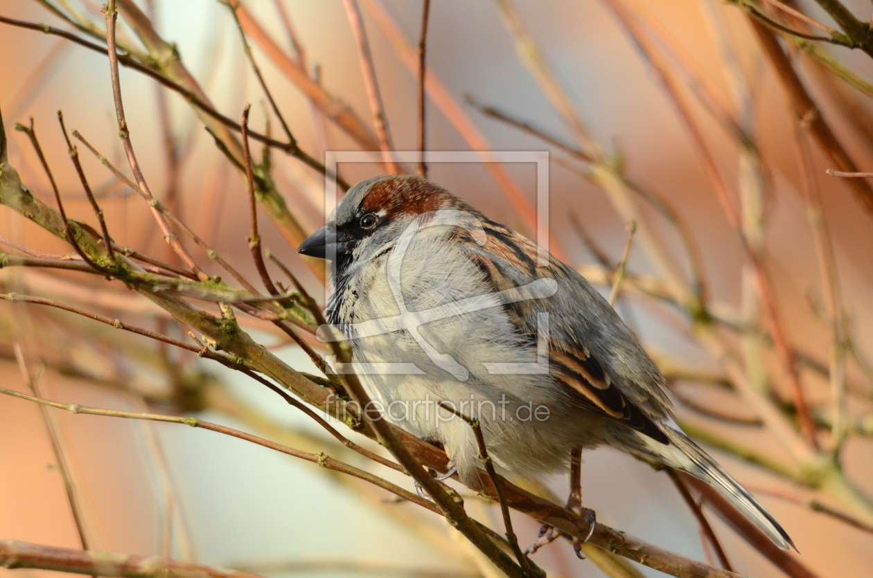 Bild-Nr.: 10844993 Winterruheort erstellt von Ostfriese