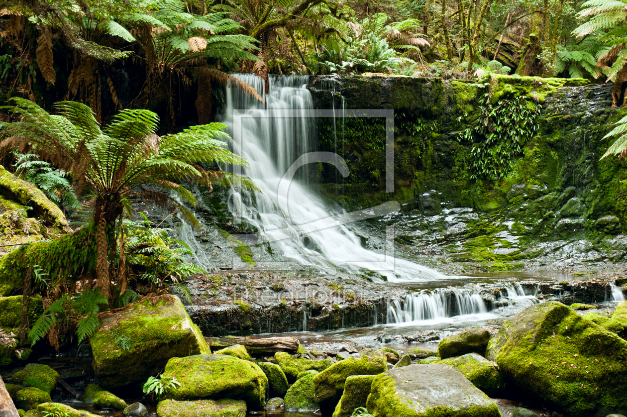Bild-Nr.: 10851607 Wasserfall im Regenwald erstellt von 3523Studio
