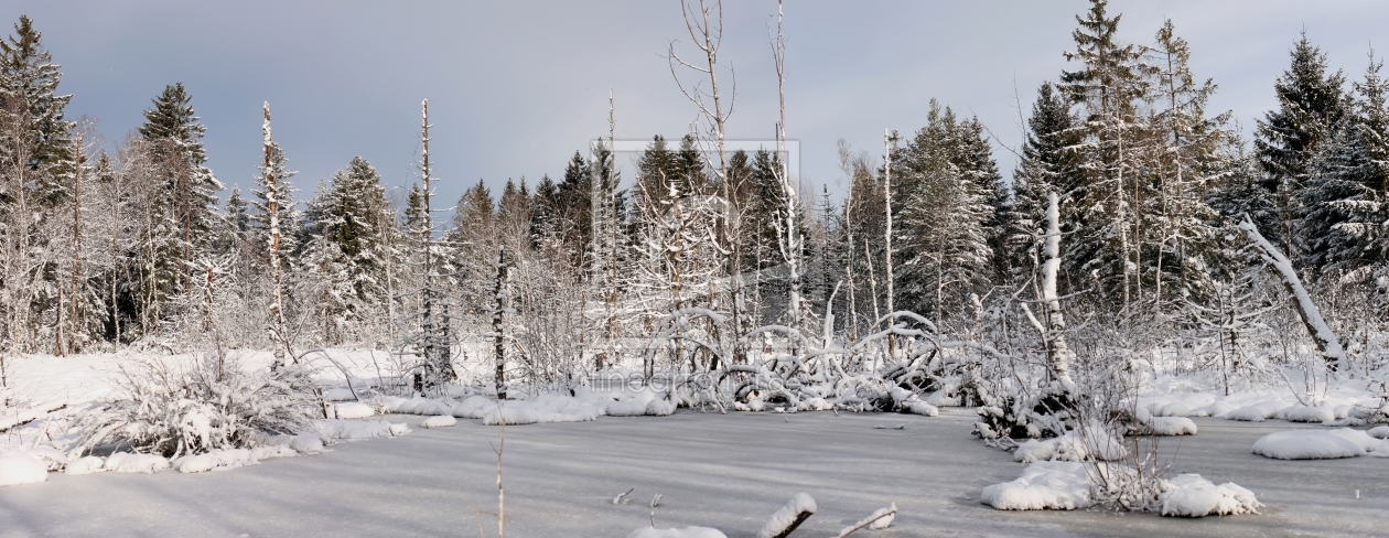 Bild-Nr.: 10853879 Winterliches Moor erstellt von widipic