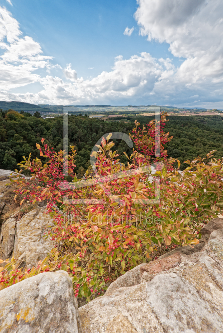 Bild-Nr.: 10854003 Aussichtspunkt  Burg Regenstein erstellt von Nordbilder