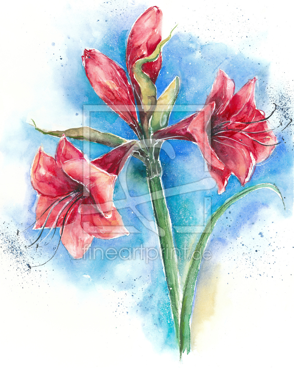 Bild-Nr.: 10857553 rote Amaryllis erstellt von JitkaKrause