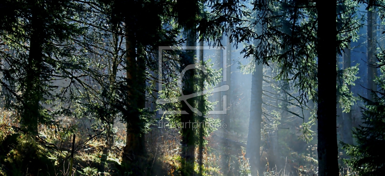 Bild-Nr.: 10857910 Morgenstimmung erstellt von youhaveadream