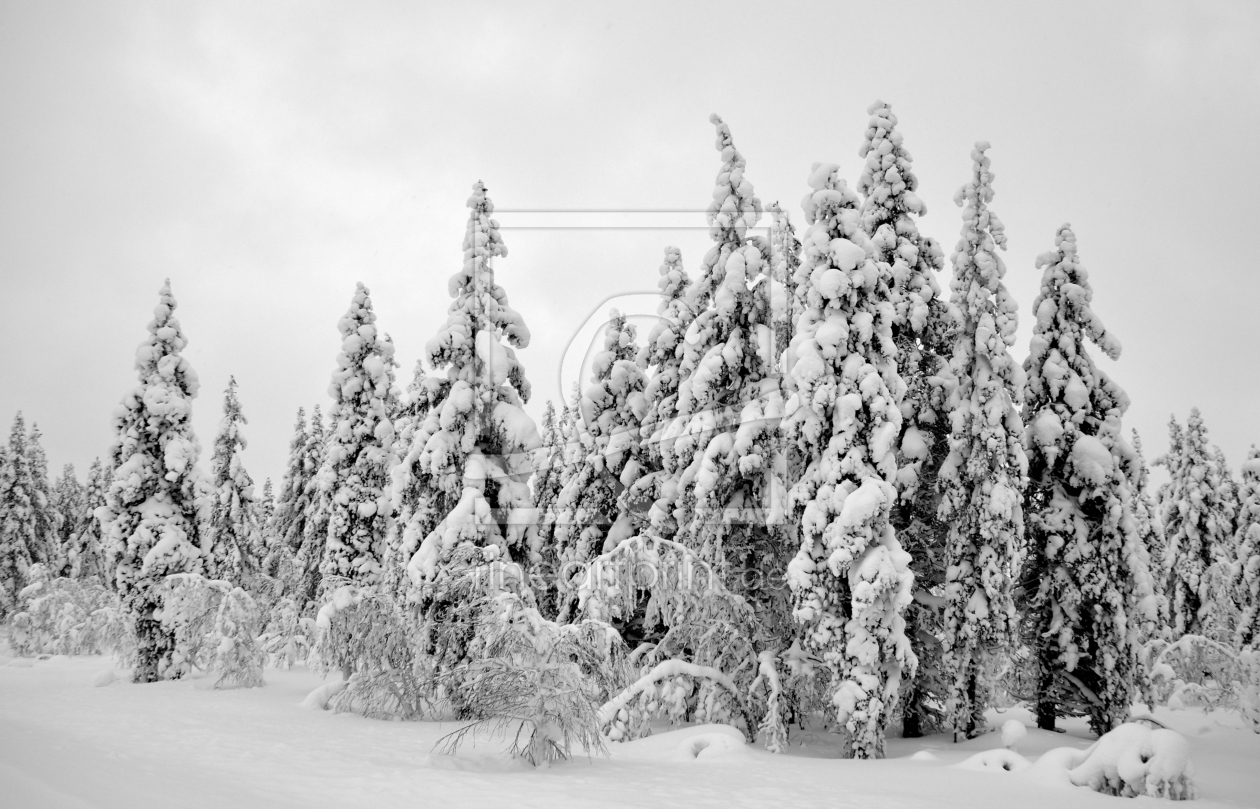Bild-Nr.: 10858866 Winterwunderland erstellt von GUGIGEI