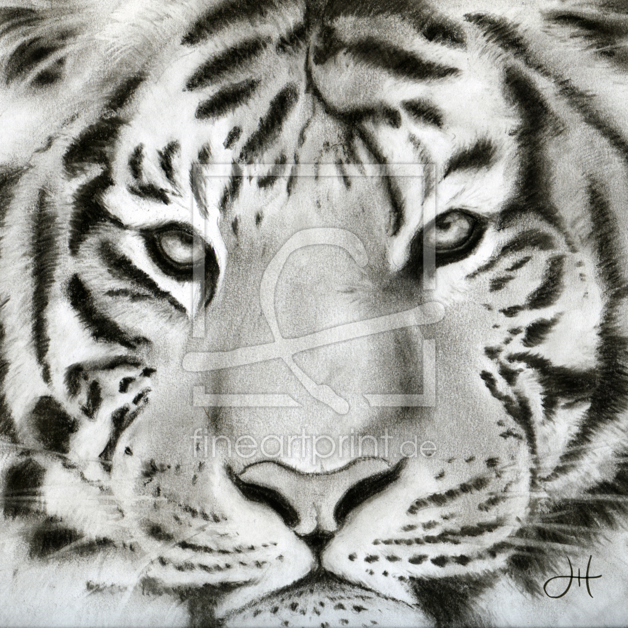 Bild-Nr.: 10862380 Tiger erstellt von HH-Portrait