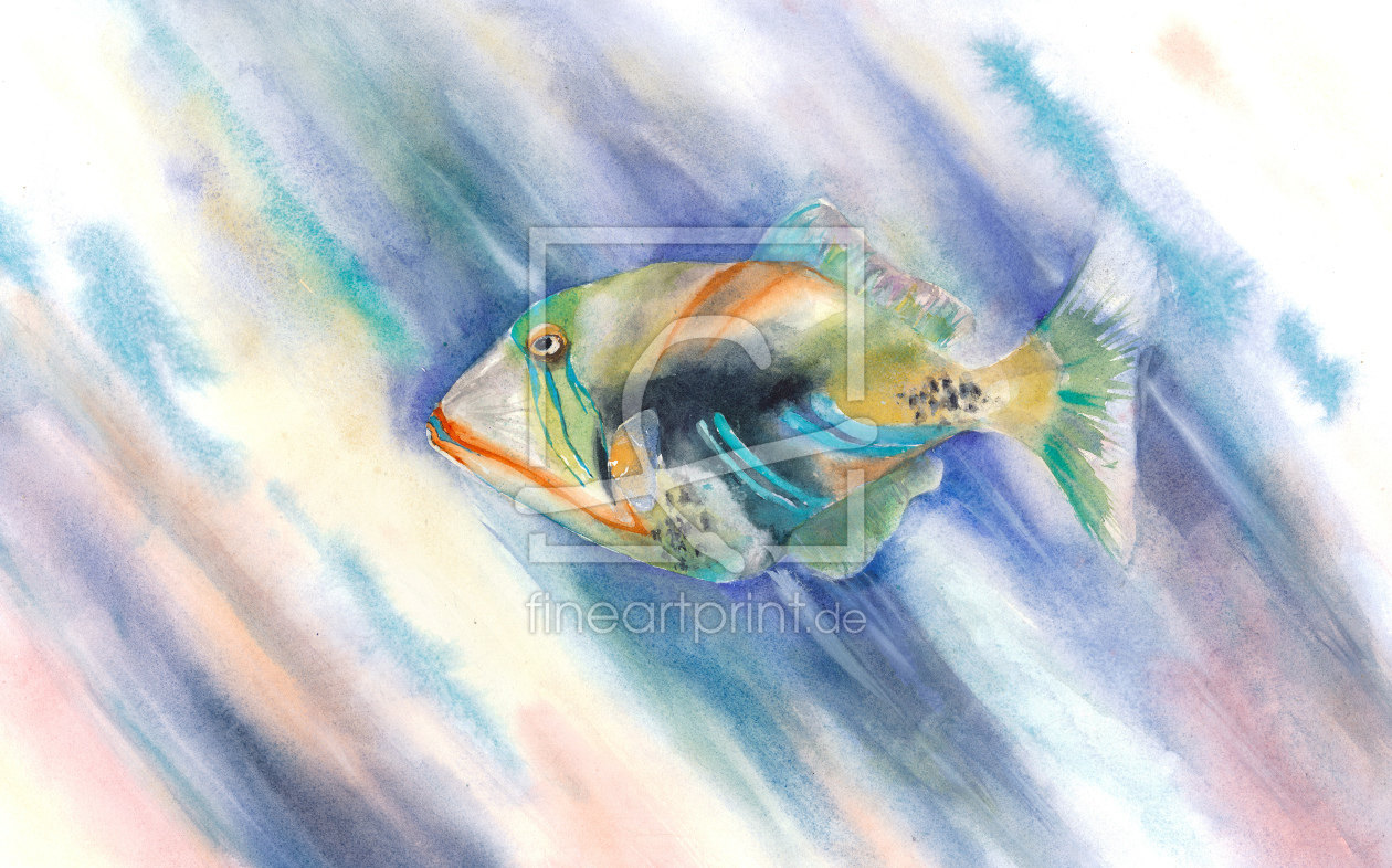 Bild-Nr.: 10863152 Picassofisch erstellt von JitkaKrause