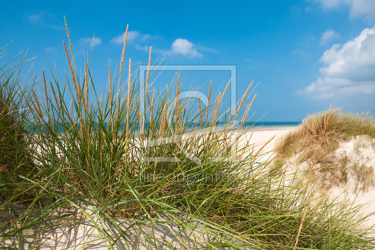 Bild-Nr.: 10863186 Nordsee - Dünen und Strandhafer erstellt von Reiner Würz