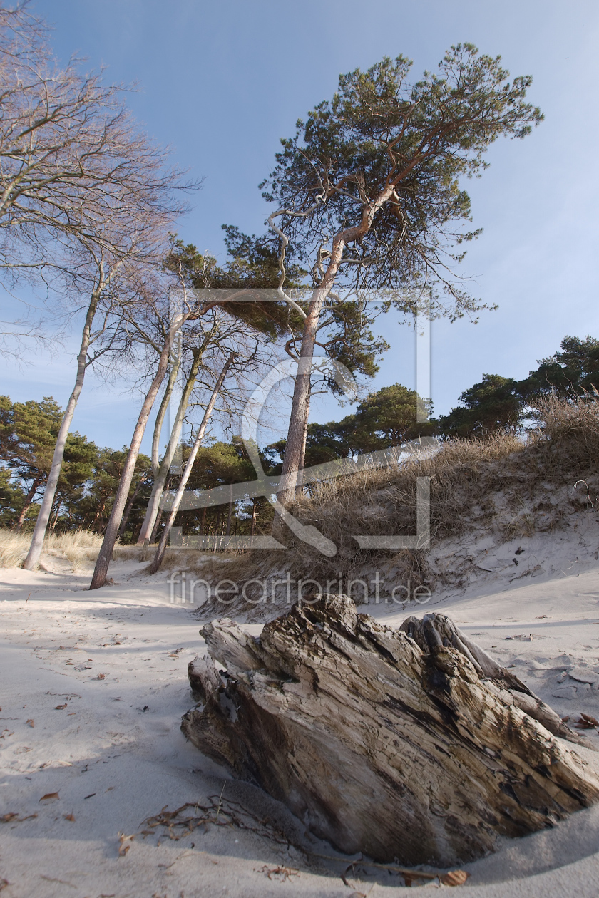 Bild-Nr.: 10869238 Darß Weststrand erstellt von dresdner