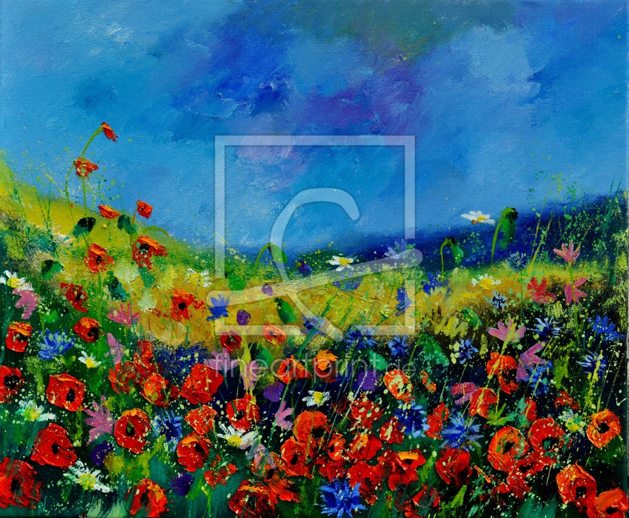 Bild-Nr.: 10870346 Mohnblumen 561190 erstellt von Pol Ledent