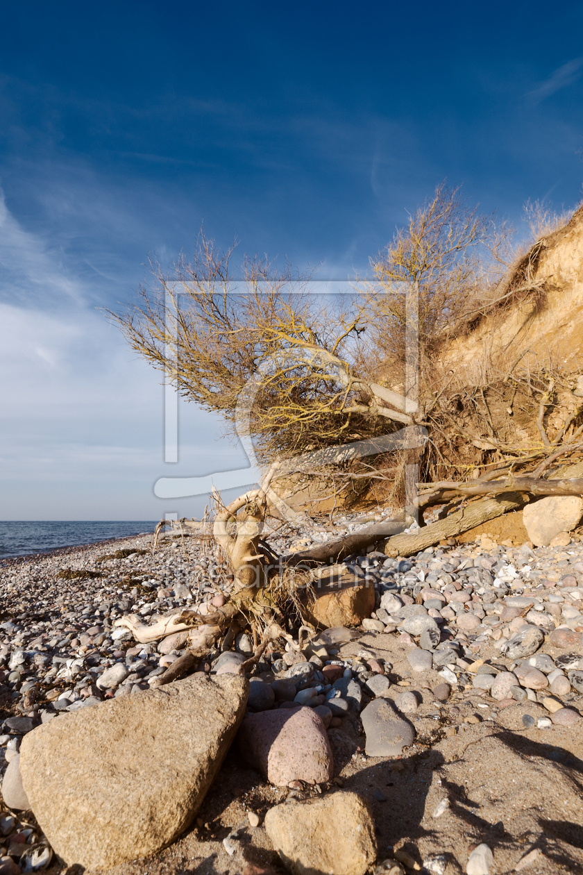 Bild-Nr.: 10872968 Steilküste Ahrenshoop Ostsee erstellt von dresdner