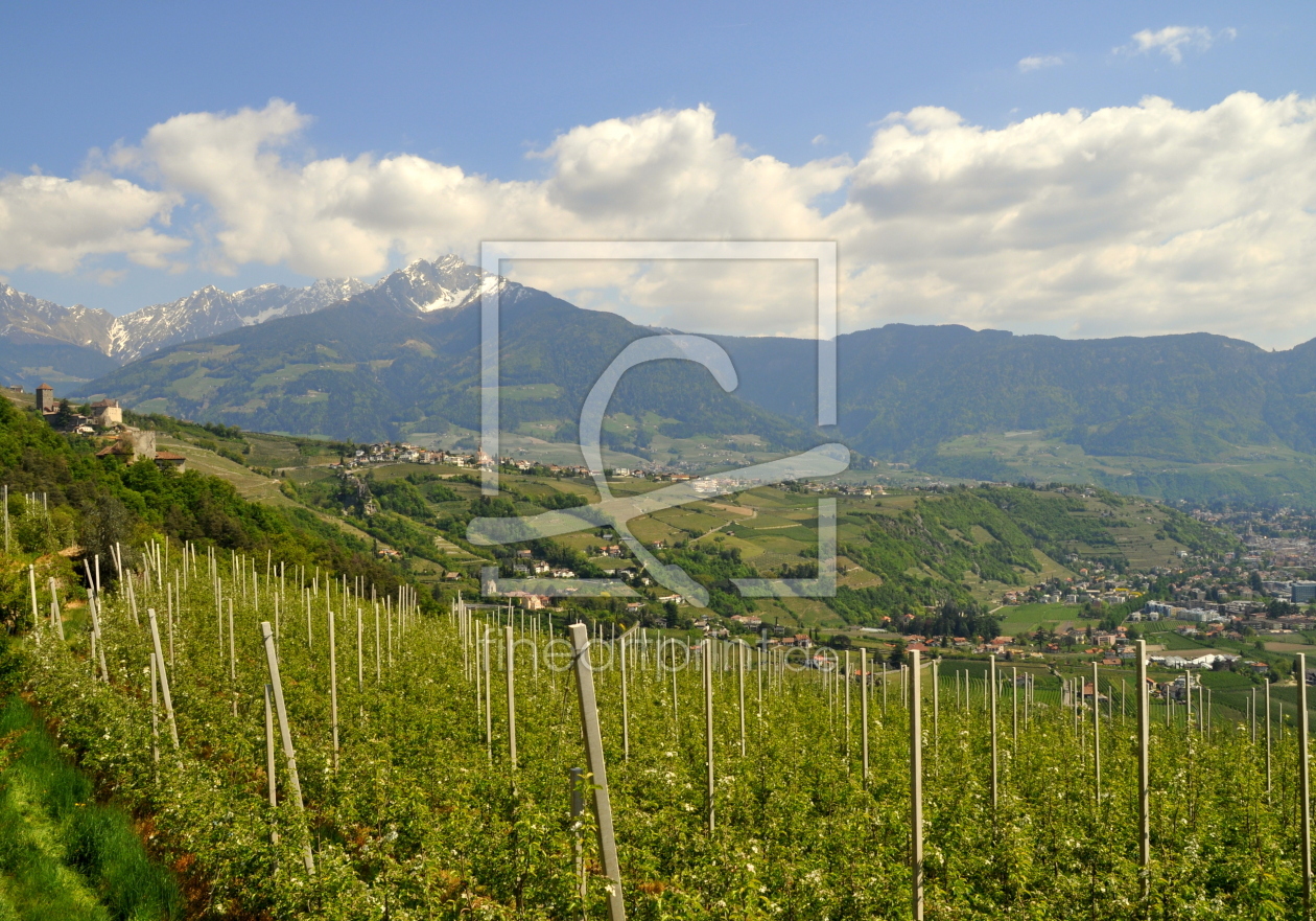 Bild-Nr.: 10873498 Frühling in Südtirol erstellt von GUGIGEI