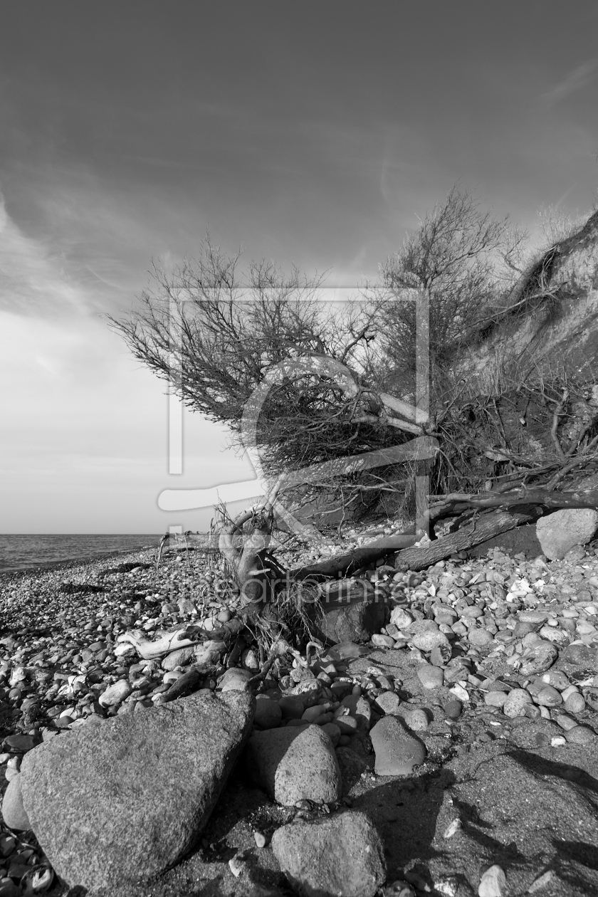 Bild-Nr.: 10875832 Steilküste Ahrenshoop Ostsee erstellt von dresdner