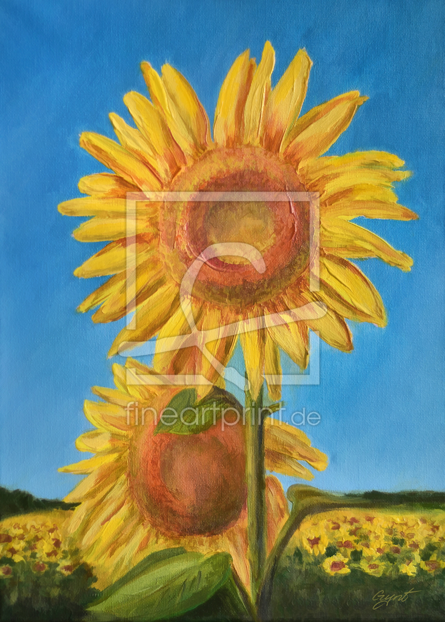 Bild-Nr.: 10881284 Sonnenblumen - Sunflowers erstellt von Gint Skuburs