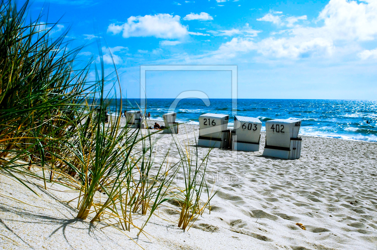 Poster Der Weg zur Nordsee Hannes Cmarits