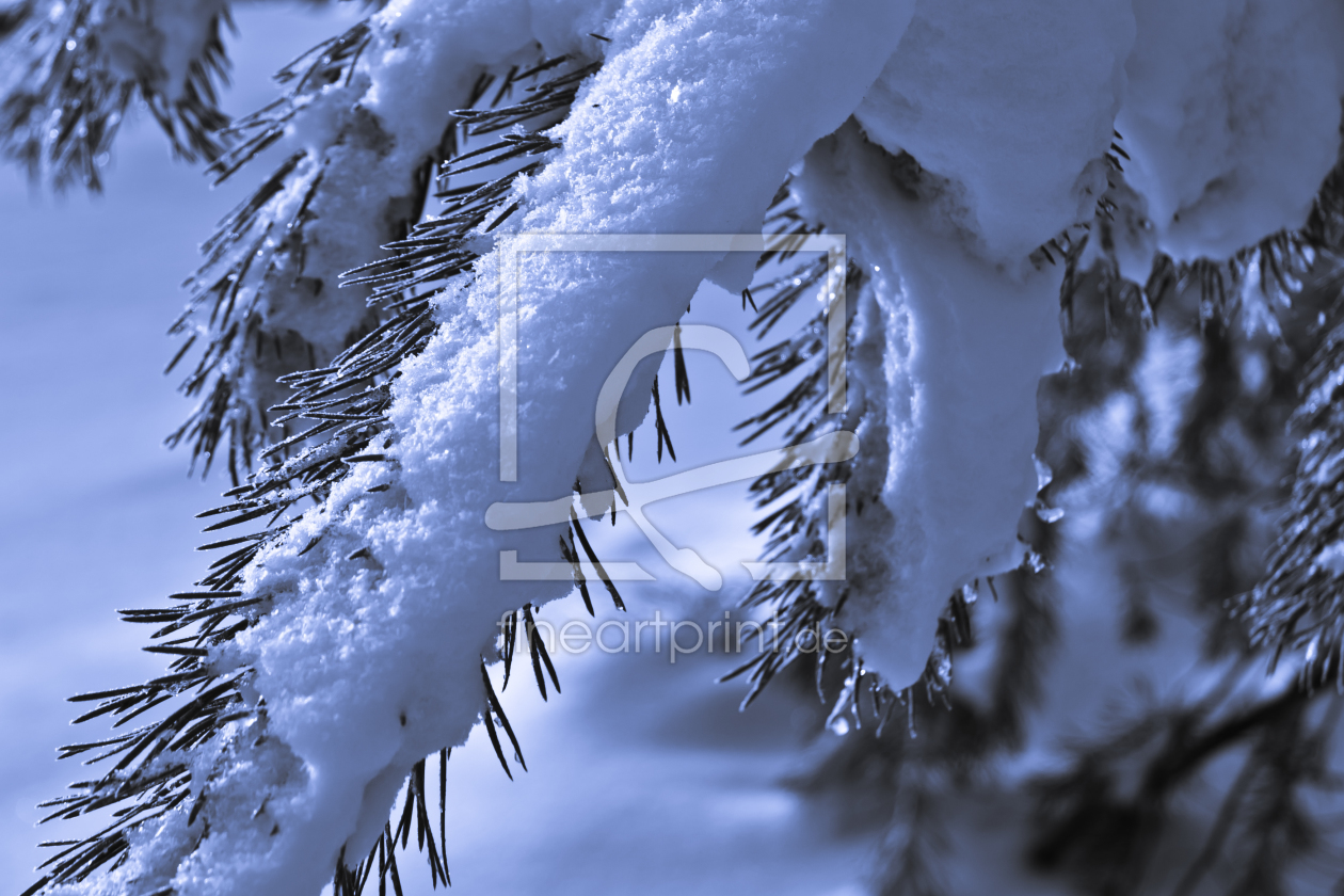 Bild-Nr.: 10898552 ... Winterlandschaft ... erstellt von Pixatom